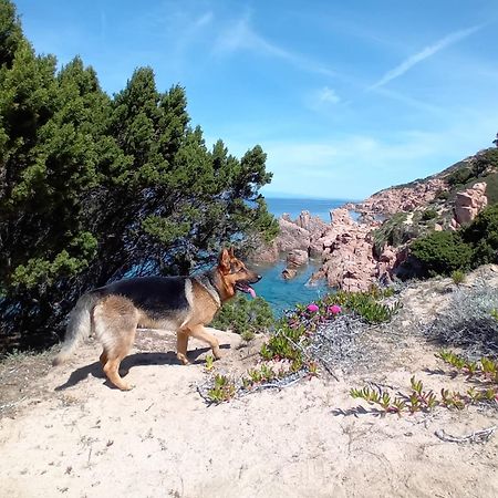 Villetta Monica Costa Paradiso Zewnętrze zdjęcie