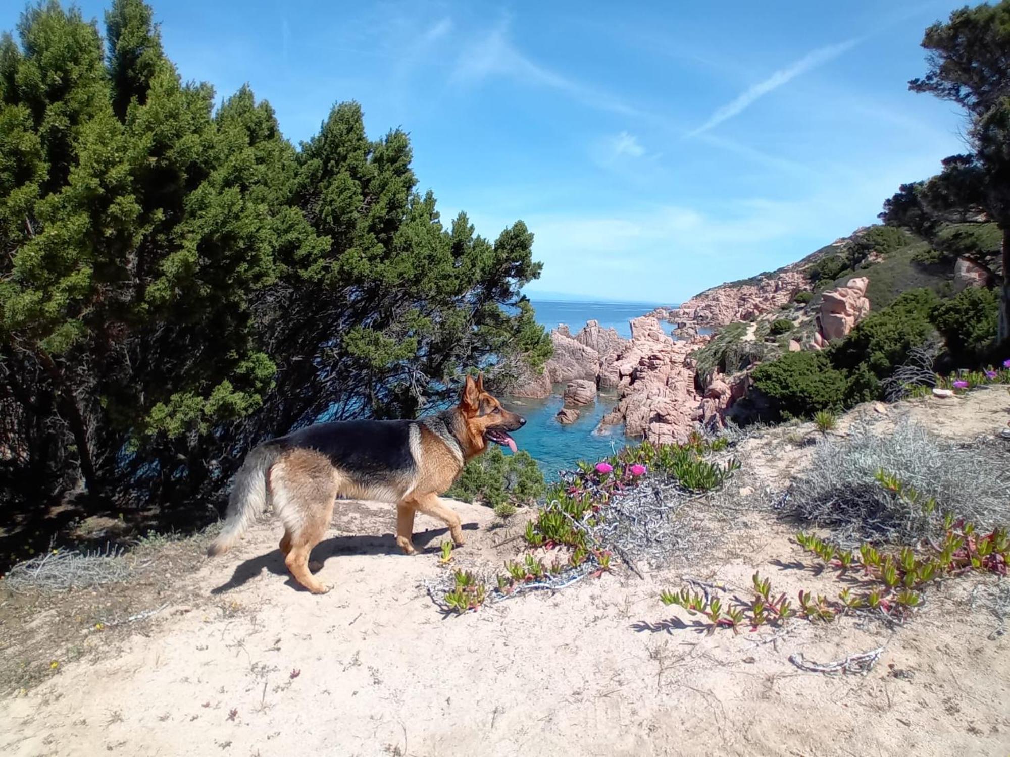 Villetta Monica Costa Paradiso Zewnętrze zdjęcie
