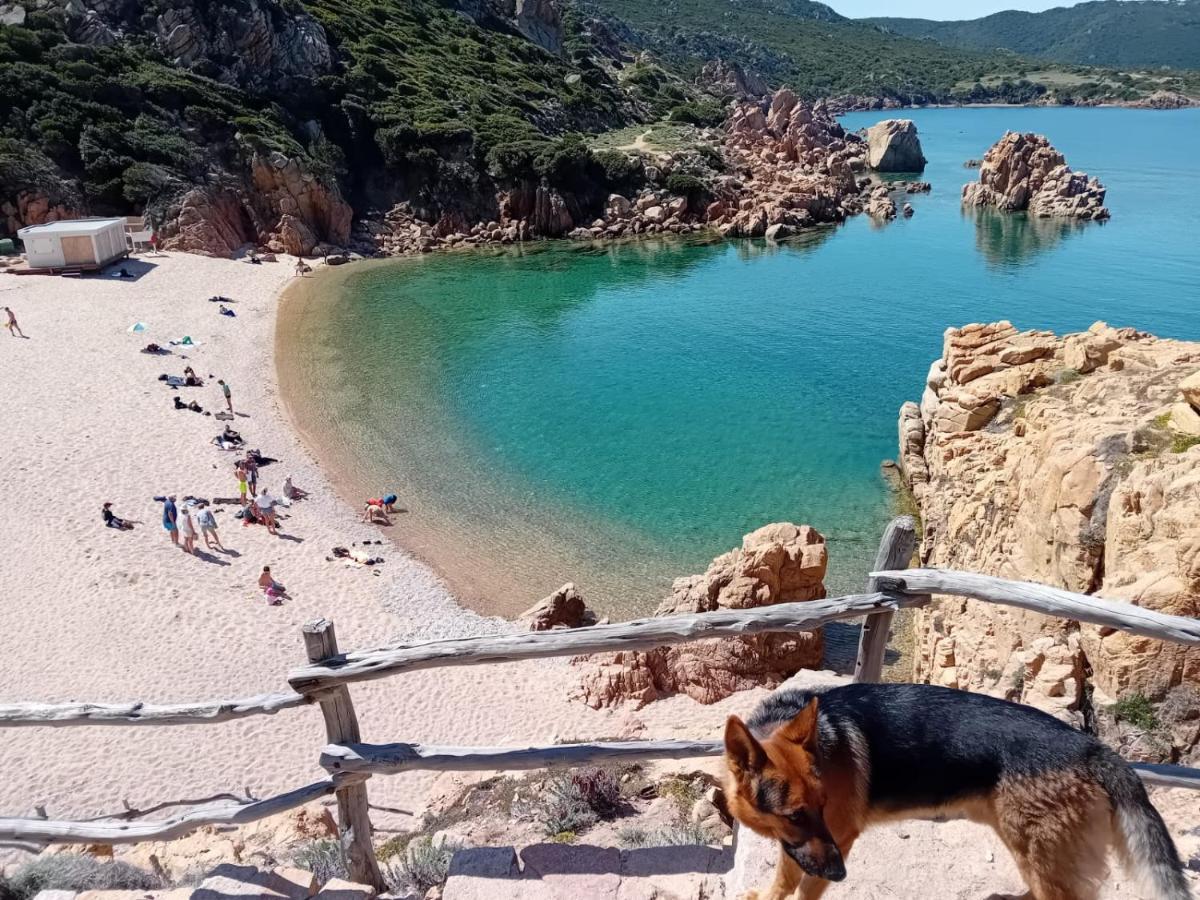 Villetta Monica Costa Paradiso Zewnętrze zdjęcie
