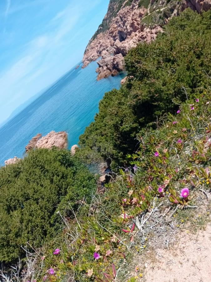 Villetta Monica Costa Paradiso Zewnętrze zdjęcie